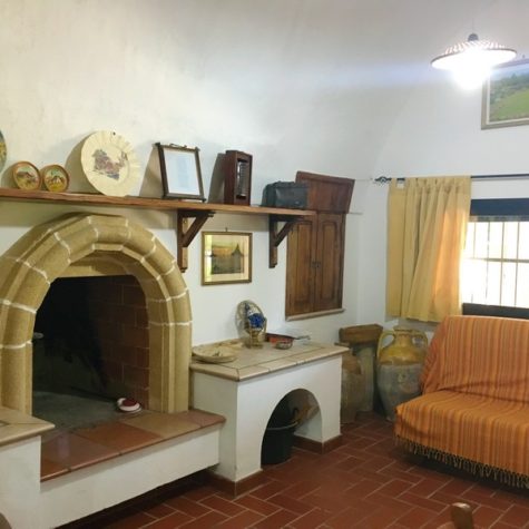 IMG 0866